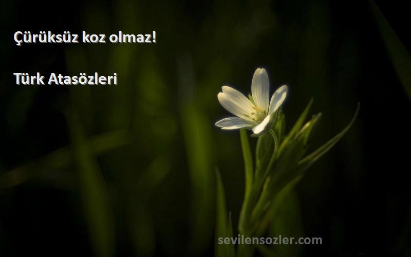 Türk Atasözleri - Çürüksüz koz olmaz!