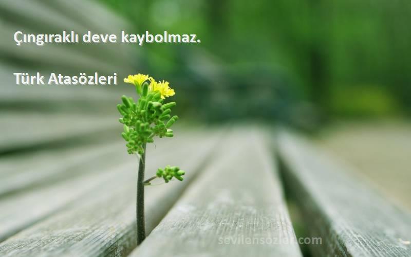 Türk Atasözleri - Çıngıraklı deve kaybolmaz.