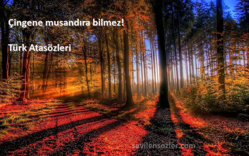 Türk Atasözleri - Çingene musandıra bilmez!