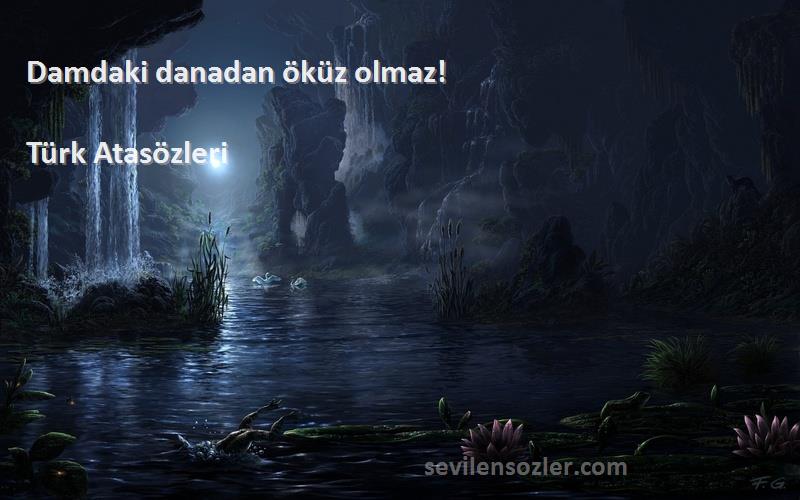 Türk Atasözleri - Damdaki danadan öküz olmaz!