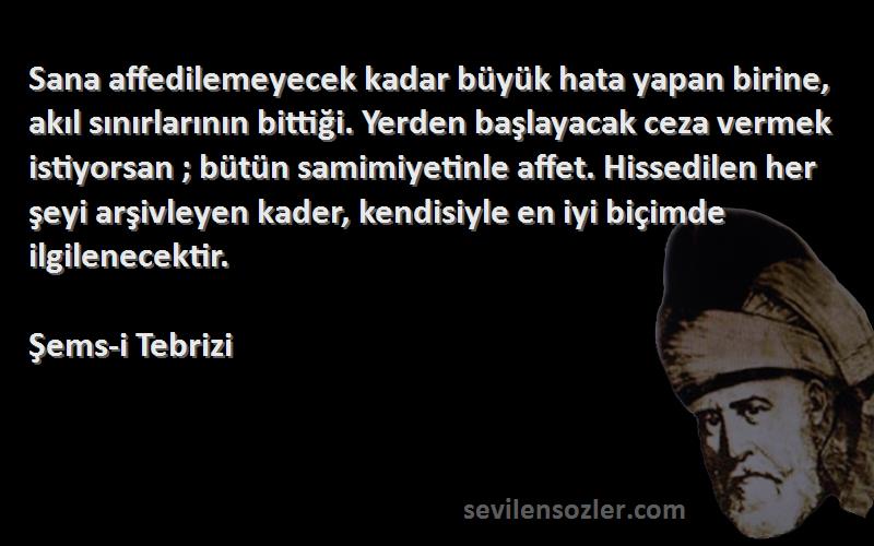 Şems-i Tebrizi Sözleri 
Sana affedilemeyecek kadar büyük hata yapan birine, akıl sınırlarının bittiği. Yerden başlayacak ceza vermek istiyorsan ; bütün samimiyetinle affet. Hissedilen her şeyi arşivleyen kader, kendisiyle en iyi biçimde ilgilenecektir.