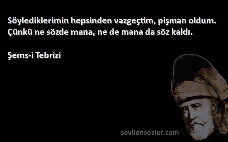 Şems-i Tebrizi - Söylediklerimin hepsinden vazgeçtim, pişman oldum. Çünkü ne sözde mana, ne de mana da söz kaldı.