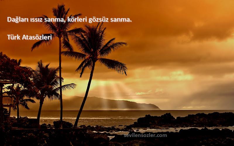 Türk Atasözleri - Dağları ıssız sanma, körleri gözsüz sanma.