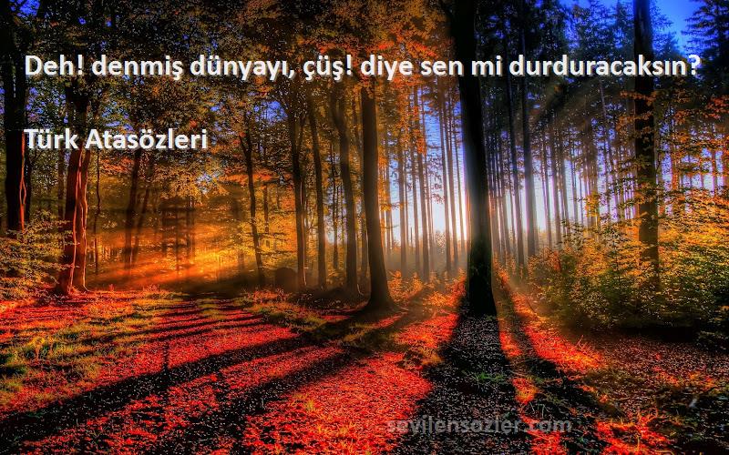 Türk Atasözleri - Deh! denmiş dünyayı, çüş! diye sen mi durduracaksın?