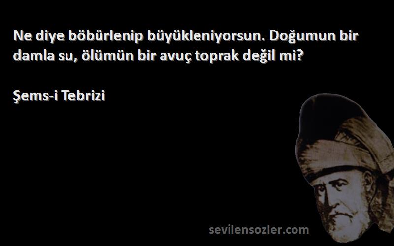 Şems-i Tebrizi - Ne diye böbürlenip büyükleniyorsun. Doğumun bir damla su, ölümün bir avuç toprak değil mi?