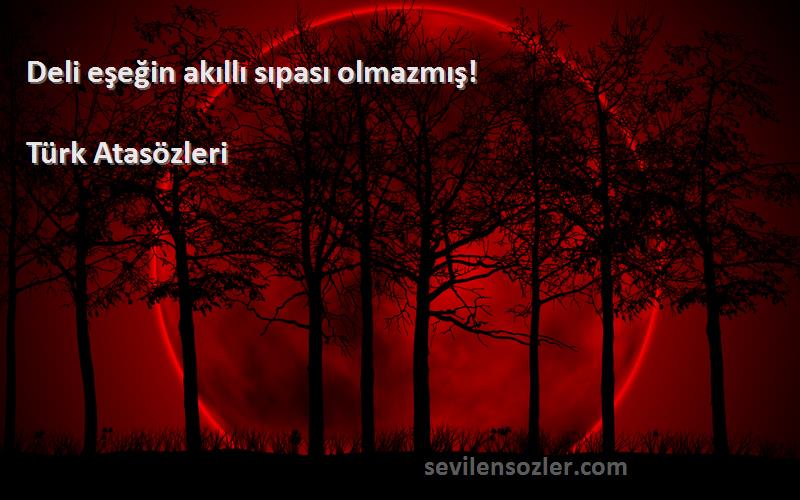 Türk Atasözleri - Deli eşeğin akıllı sıpası olmazmış!