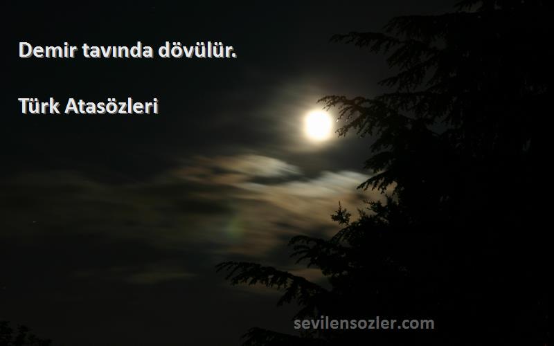 Türk Atasözleri - Demir tavında dövülür.