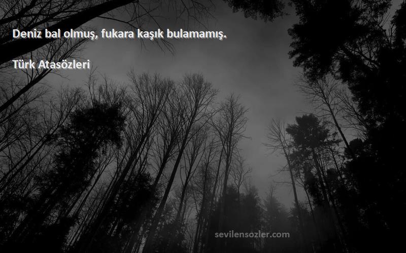 Türk Atasözleri - Deniz bal olmuş, fukara kaşık bulamamış.