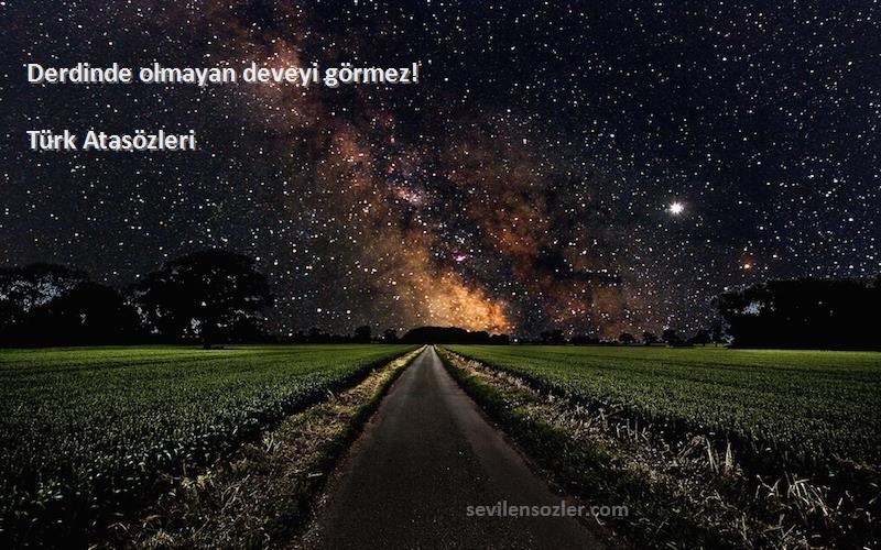 Türk Atasözleri - Derdinde olmayan deveyi görmez!