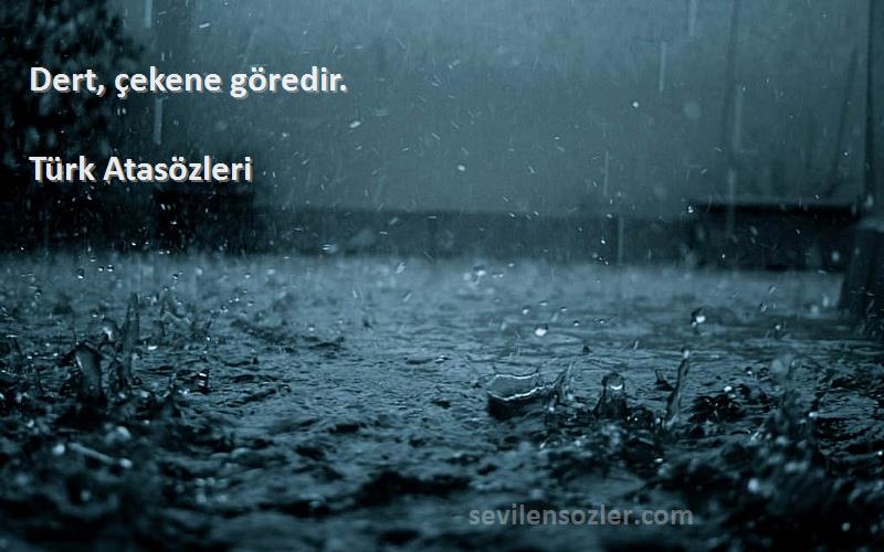 Türk Atasözleri - Dert, çekene göredir.