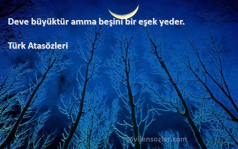 Türk Atasözleri - Deve büyüktür amma beşini bir eşek yeder.