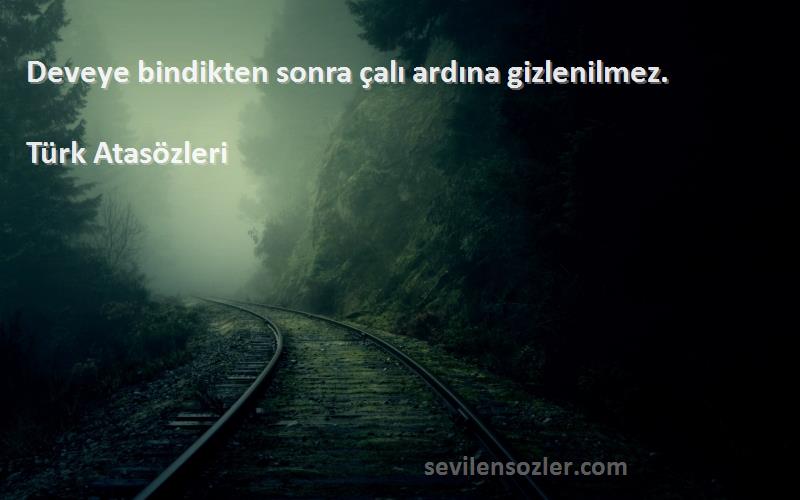 Türk Atasözleri Sözleri 
Deveye bindikten sonra çalı ardına gizlenilmez.