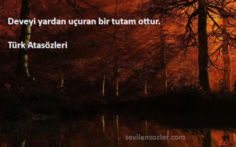 Türk Atasözleri Sözleri 
Deveyi yardan uçuran bir tutam ottur.