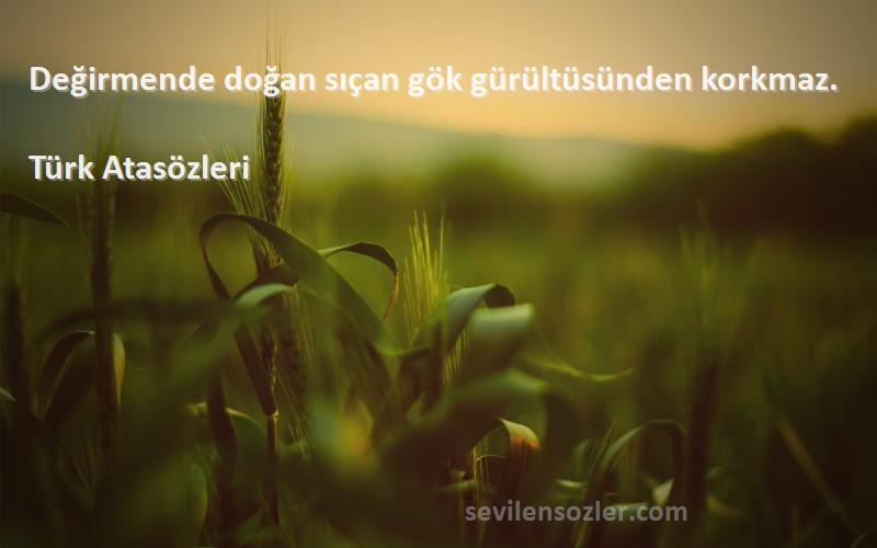 Türk Atasözleri - Değirmende doğan sıçan gök gürültüsünden korkmaz.