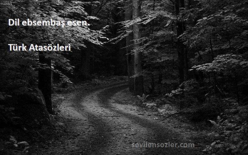 Türk Atasözleri - Dil ebsembaş esen.