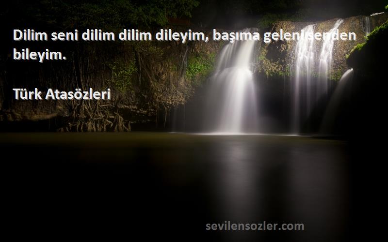 Türk Atasözleri - Dilim seni dilim dilim dileyim, başıma geleni senden bileyim.