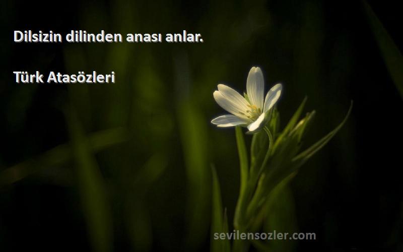 Türk Atasözleri - Dilsizin dilinden anası anlar.