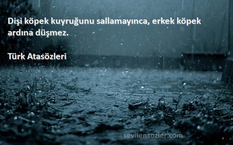 Türk Atasözleri - Dişi köpek kuyruğunu sallamayınca, erkek köpek ardına düşmez.