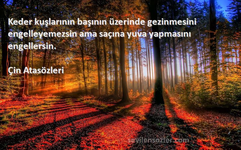 Çin Atasözleri - Keder kuşlarının başının üzerinde gezinmesini engelleyemezsin ama saçına yuva yapmasını engellersin....