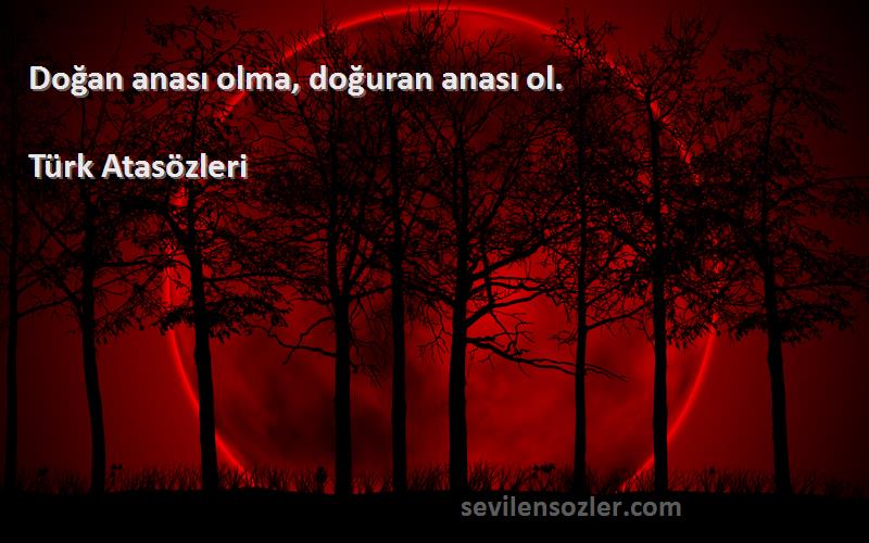 Türk Atasözleri - Doğan anası olma, doğuran anası ol.