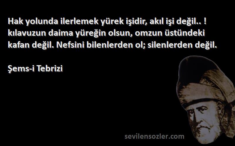 Şems-i Tebrizi Sözleri 
Hak yolunda ilerlemek yürek işidir, akıl işi değil.. ! kılavuzun daima yüreğin olsun, omzun üstündeki kafan değil. Nefsini bilenlerden ol; silenlerden değil.