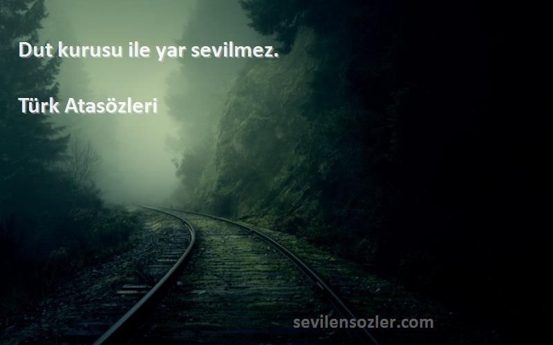 Türk Atasözleri - Dut kurusu ile yar sevilmez.