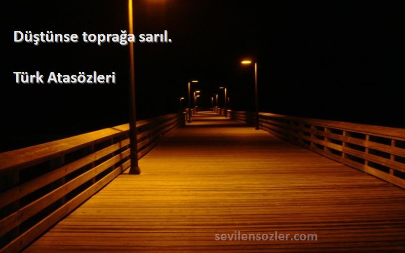 Türk Atasözleri - Düştünse toprağa sarıl.