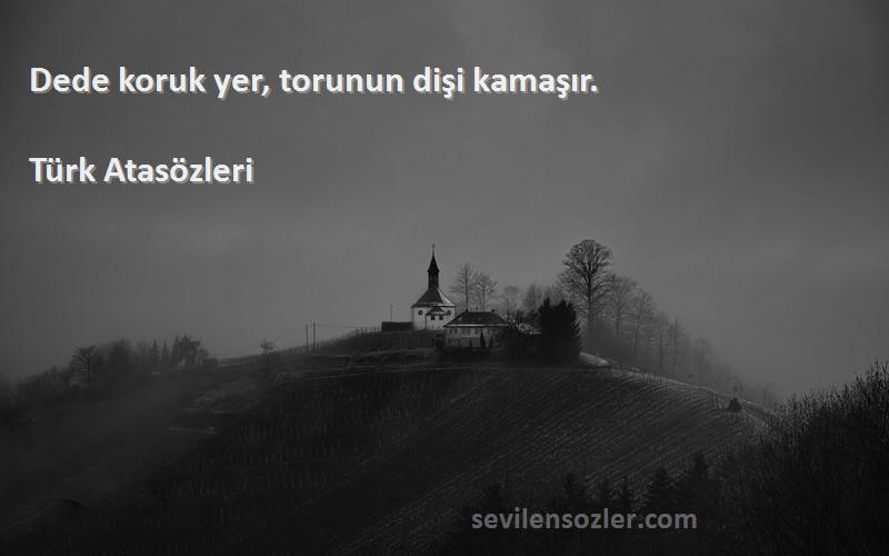 Türk Atasözleri - Dede koruk yer, torunun dişi kamaşır.