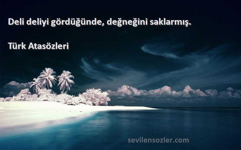 Türk Atasözleri - Deli deliyi gördüğünde, değneğini saklarmış.