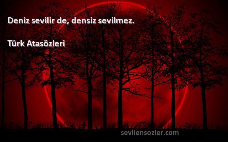 Türk Atasözleri - Deniz sevilir de, densiz sevilmez.