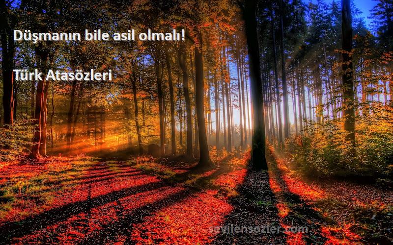 Türk Atasözleri - Düşmanın bile asil olmalı!