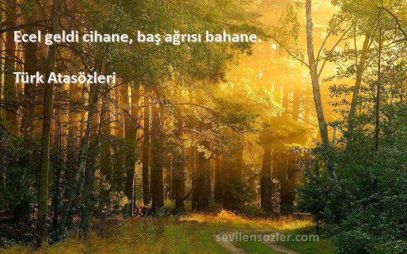 Türk Atasözleri - Ecel geldi cihane, baş ağrısı bahane.