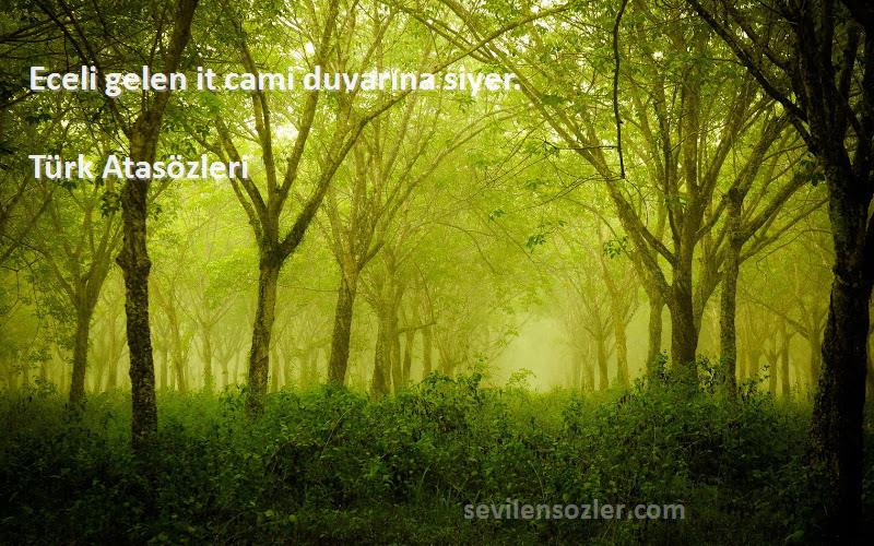 Türk Atasözleri - Eceli gelen it cami duvarına siyer.