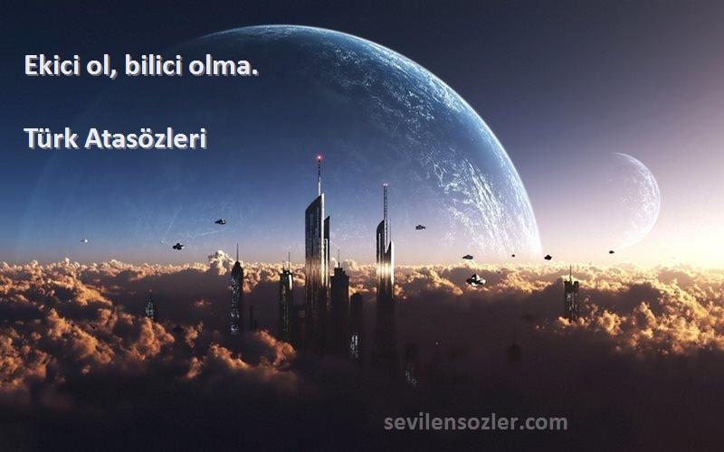 Türk Atasözleri - Ekici ol, bilici olma.