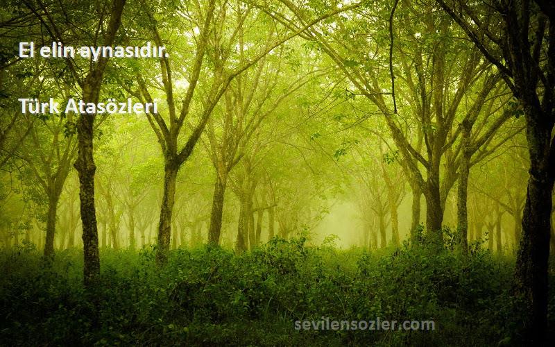 Türk Atasözleri - El elin aynasıdır.