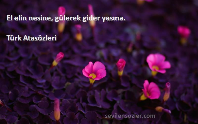 Türk Atasözleri - El elin nesine, gülerek gider yasına.