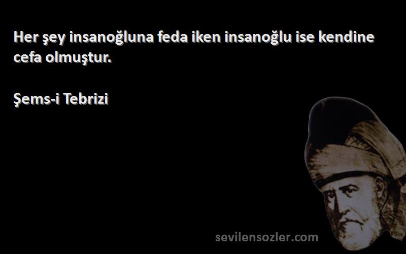Şems-i Tebrizi - Her şey insanoğluna feda iken insanoğlu ise kendine cefa olmuştur.