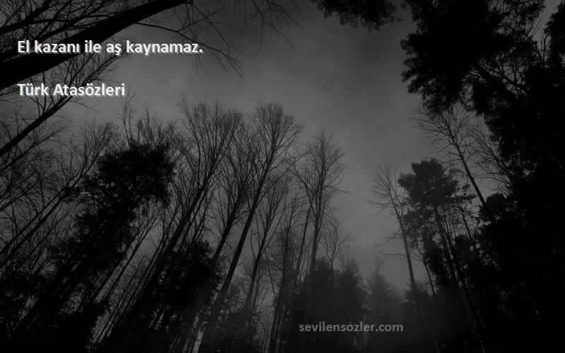 Türk Atasözleri - El kazanı ile aş kaynamaz.