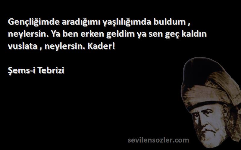 Şems-i Tebrizi Sözleri 
Gençliğimde aradığımı yaşlılığımda buldum , neylersin. Ya ben erken geldim ya sen geç kaldın vuslata , neylersin. Kader!