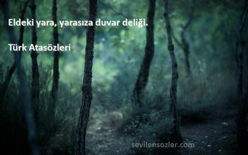 Türk Atasözleri Sözleri 
Eldeki yara, yarasıza duvar deliği.