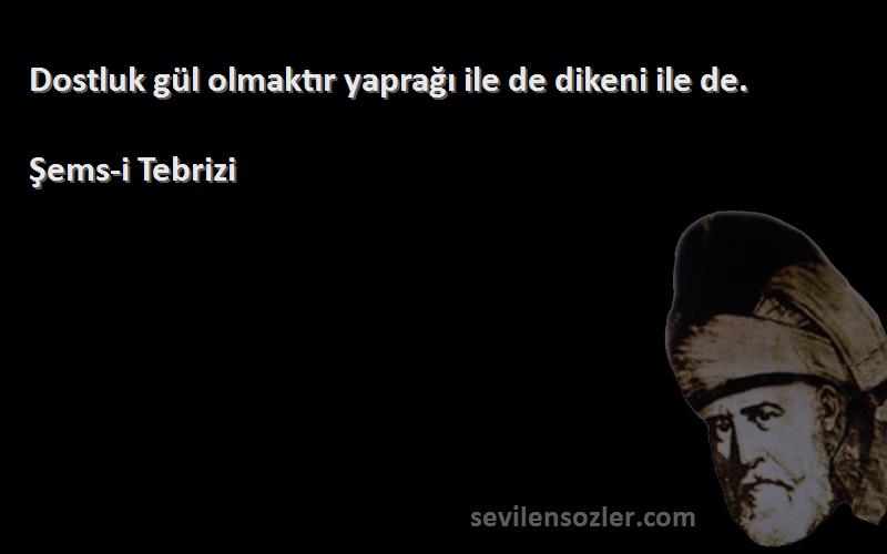 Şems-i Tebrizi - Dostluk gül olmaktır yaprağı ile de dikeni ile de.