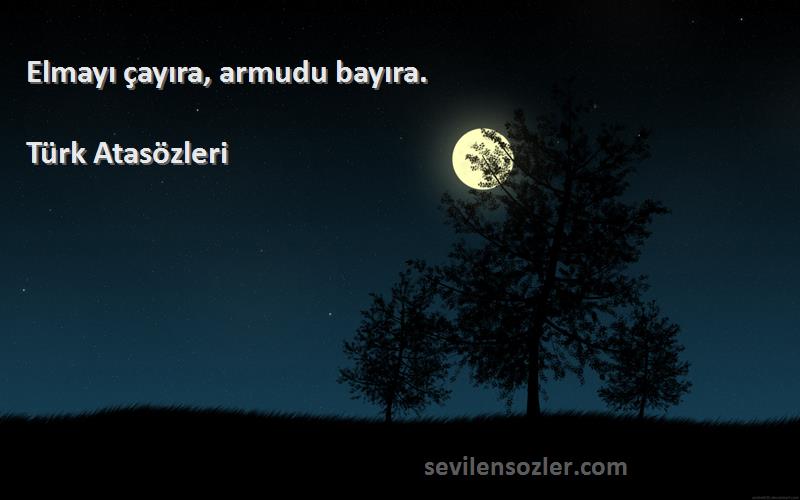 Türk Atasözleri - Elmayı çayıra, armudu bayıra.