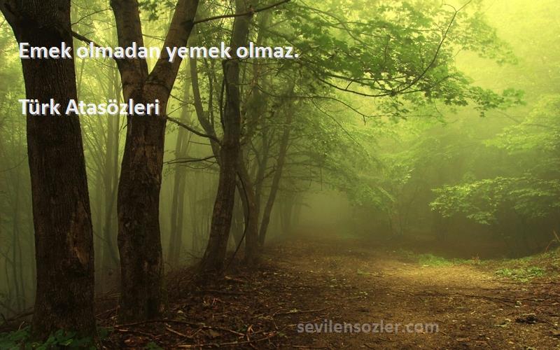 Türk Atasözleri Sözleri 
Emek olmadan yemek olmaz.