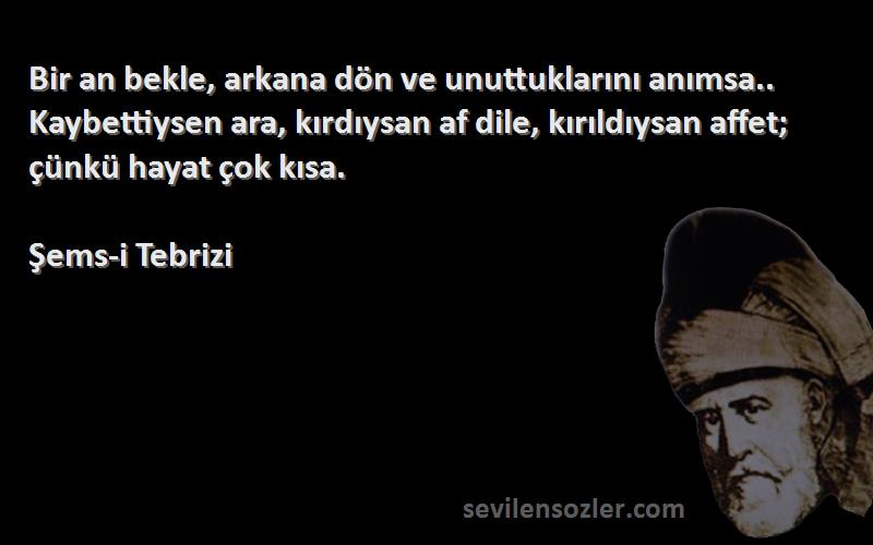 Şems-i Tebrizi Sözleri 
Bir an bekle, arkana dön ve unuttuklarını anımsa.. Kaybettiysen ara, kırdıysan af dile, kırıldıysan affet; çünkü hayat çok kısa.