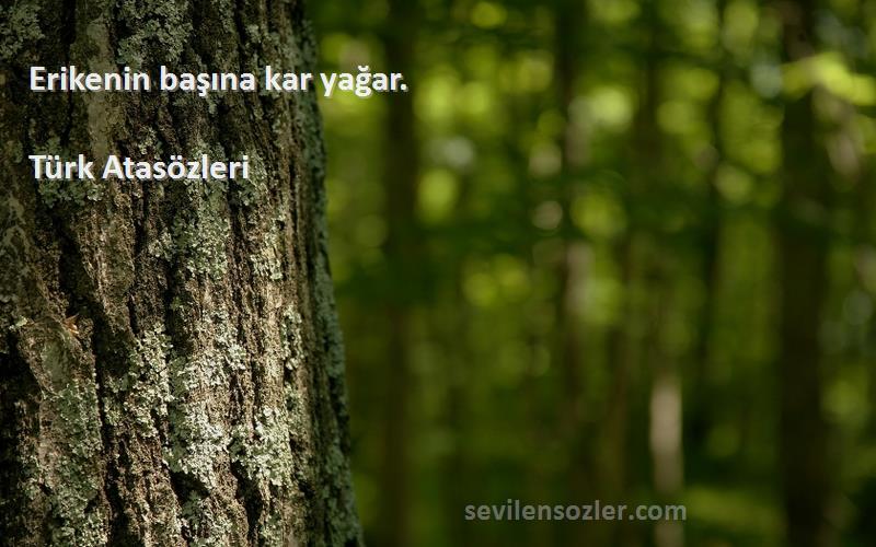 Türk Atasözleri - Erikenin başına kar yağar.