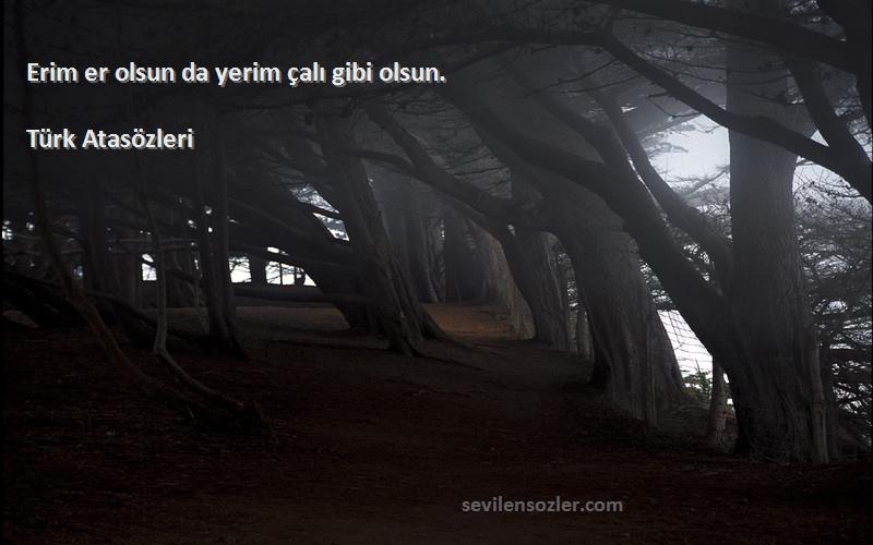 Türk Atasözleri - Erim er olsun da yerim çalı gibi olsun.