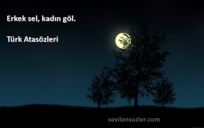 Türk Atasözleri - Erkek sel, kadın göl.