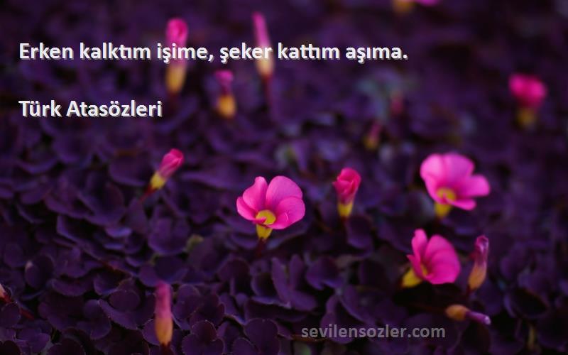 Türk Atasözleri - Erken kalktım işime, şeker kattım aşıma.