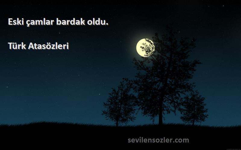 Türk Atasözleri - Eski çamlar bardak oldu.