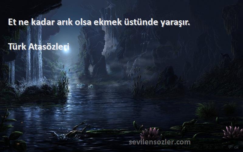 Türk Atasözleri - Et ne kadar arık olsa ekmek üstünde yaraşır.